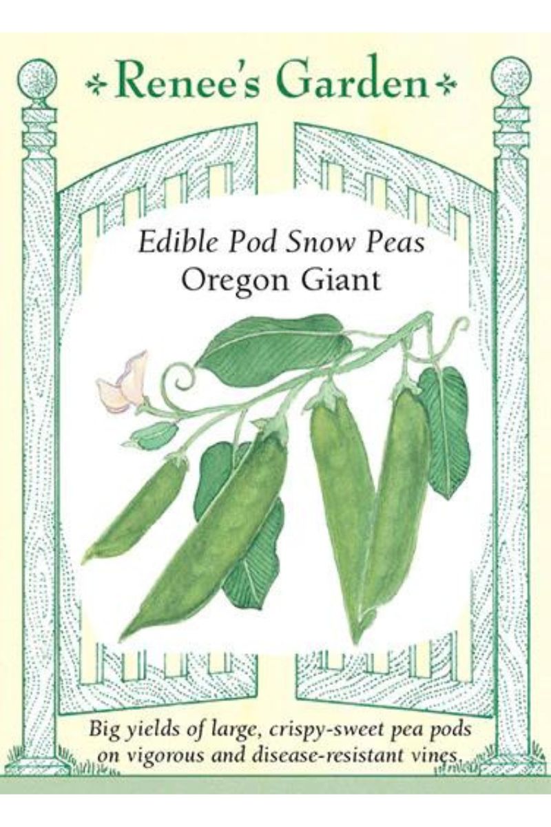 Renee's Garden Edible Pod Snow Peas Oregon Giant Seeds