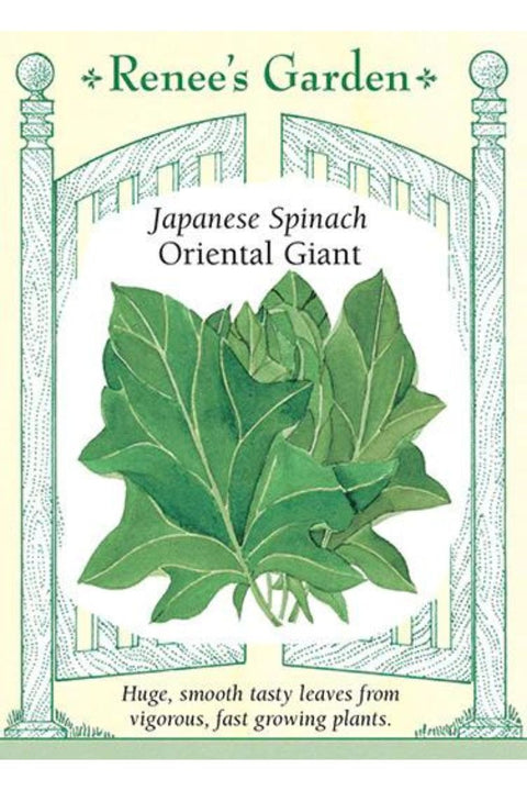Renee's Garden Japanese Spinach Oriental Giant Seeds