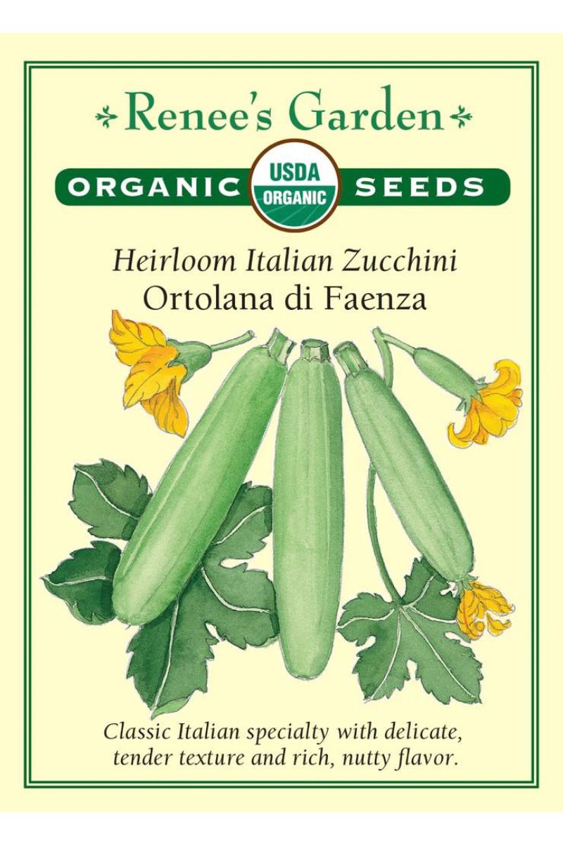 Renee's Garden Heirloom Italian Zucchini Ortolana di Faenza Organic Seeds