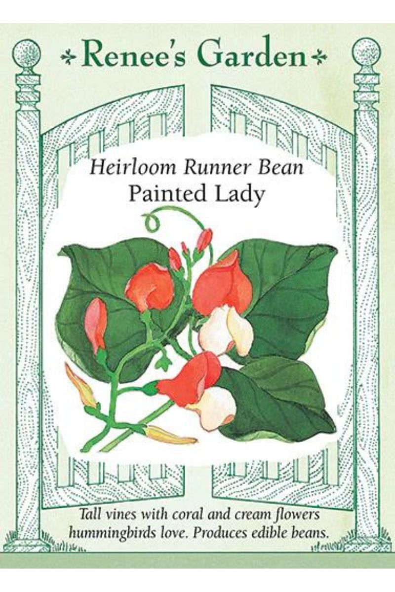 Renee's Garden Heirloom Runner Bean Painted Lady Seeds