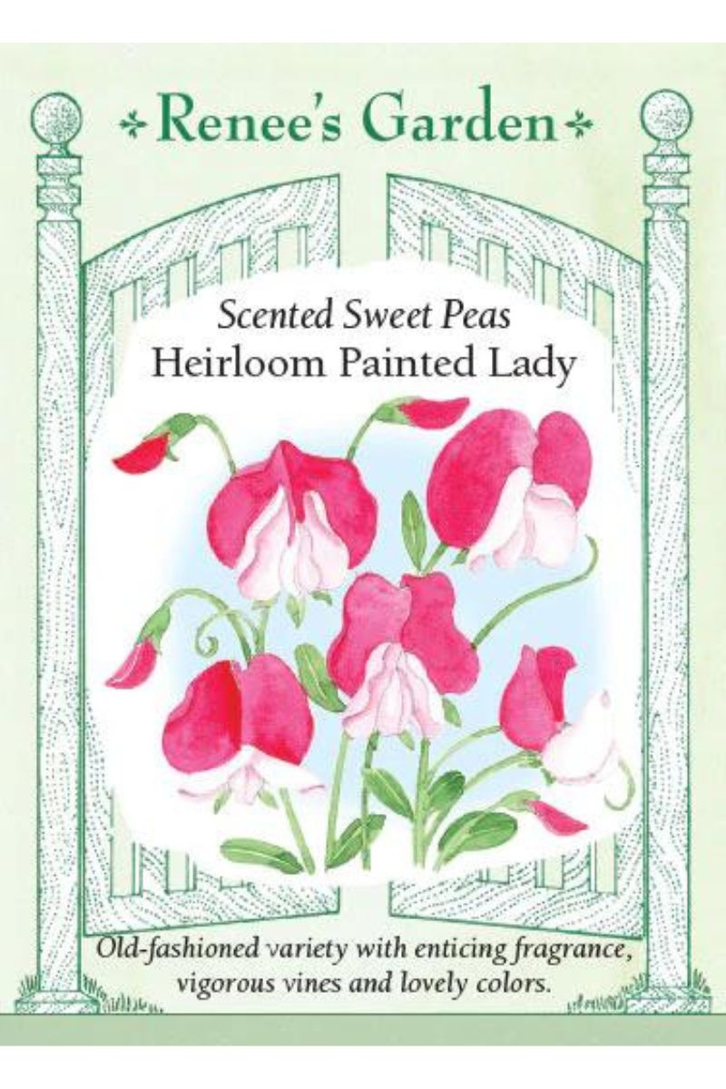 Renee's Garden Scented Sweet Peas Heirloom Painted Lady Seeds