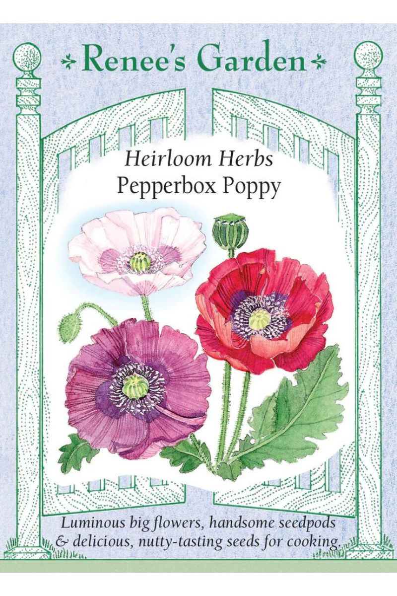 Renee's Garden Heirloom Herbs Pepperbox Poppy Seeds