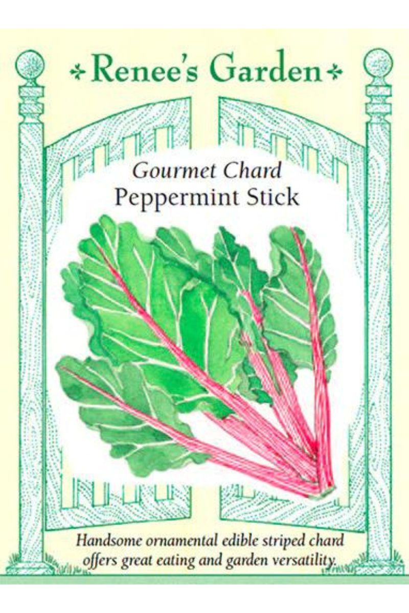 Renee's Garden Gourmet Chard Peppermint Stick Seeds