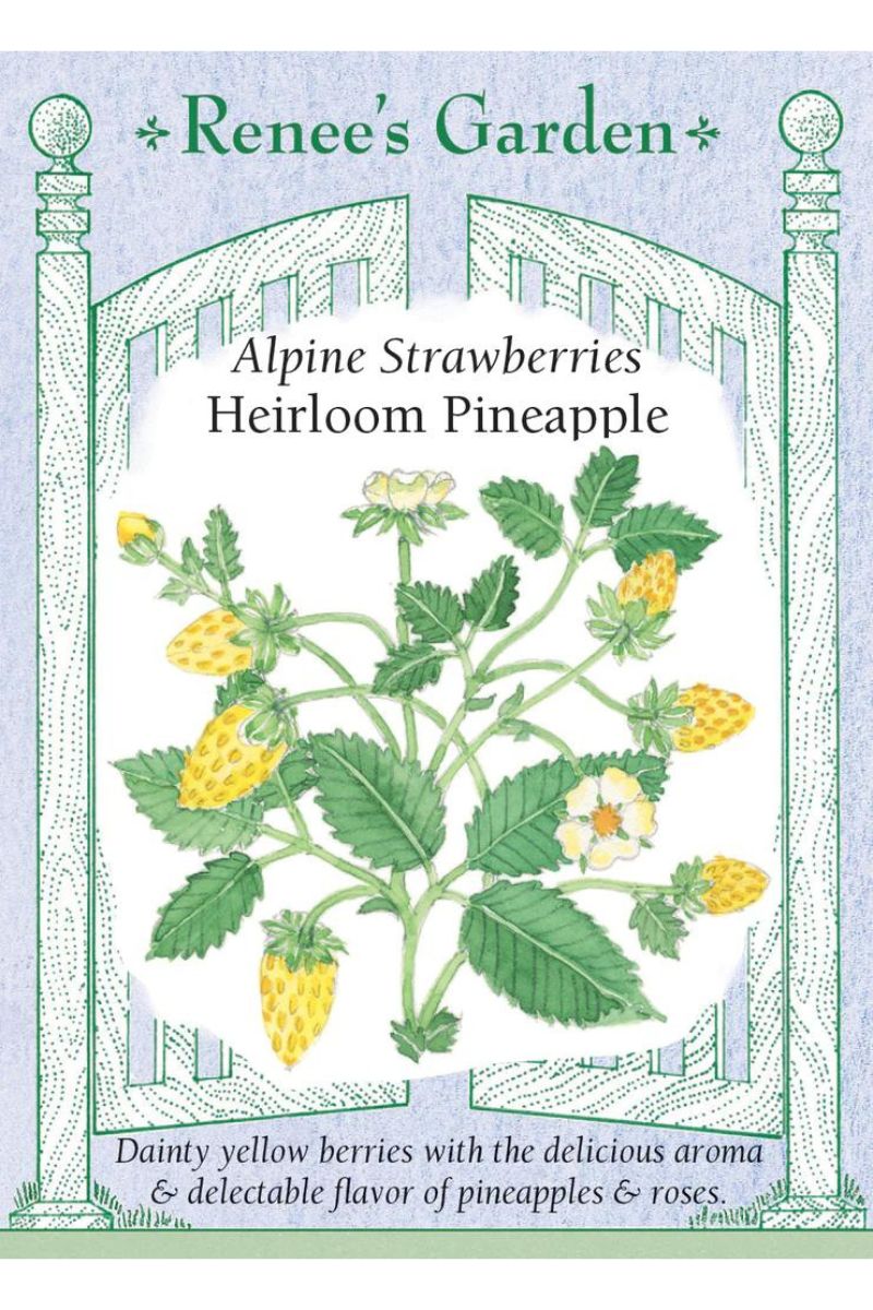 Renee's Garden Alpine Strawberries Heirloom Pineapple Seeds