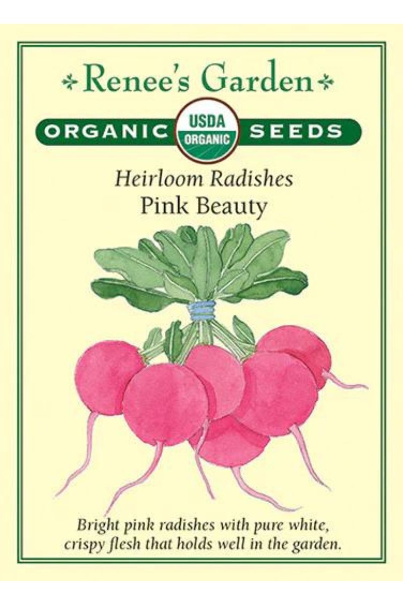 Renee's Garden Heirloom Radishes Pink Beauty Organic Seeds