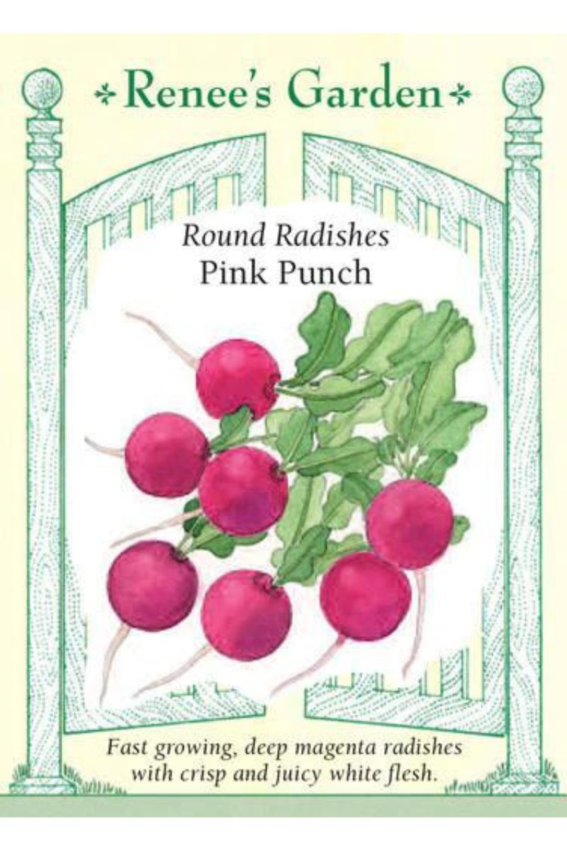 Renee's Garden Round Radishes Pink Punch Seeds