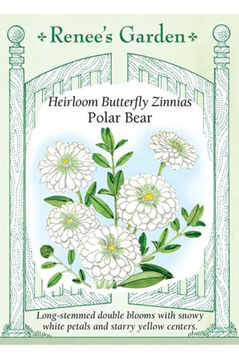 Renee's Garden Heirloom Butterfly Zinnias Polar Bear Seeds