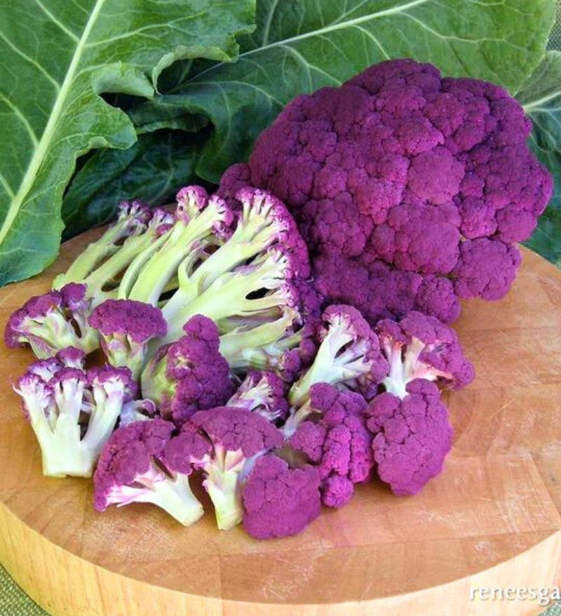 garden crush seeds Renee's Garden Cauliflower Purple Crush Seeds