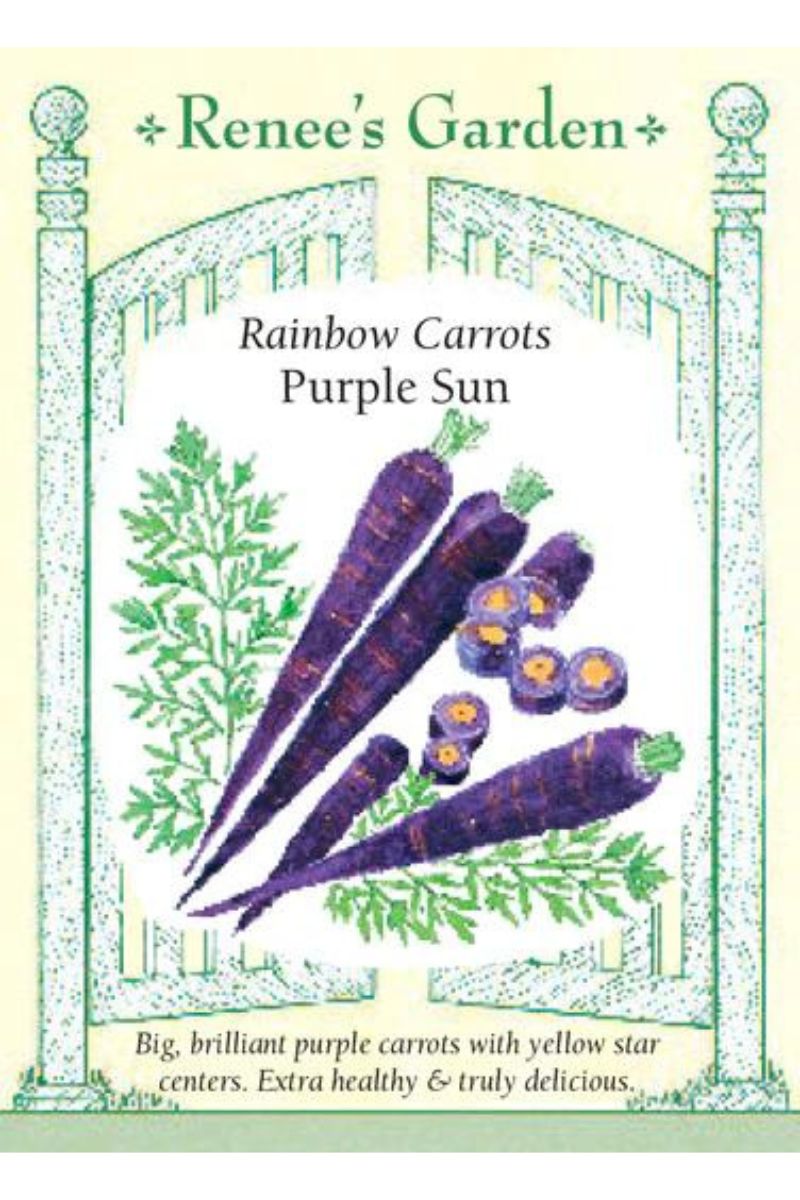 Renee's Garden Rainbow Carrots Purple Sun Seeds