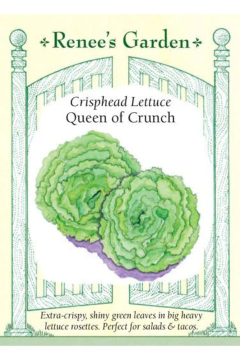 Renee's Garden Crisphead Lettuce Queen of Crunch Seeds