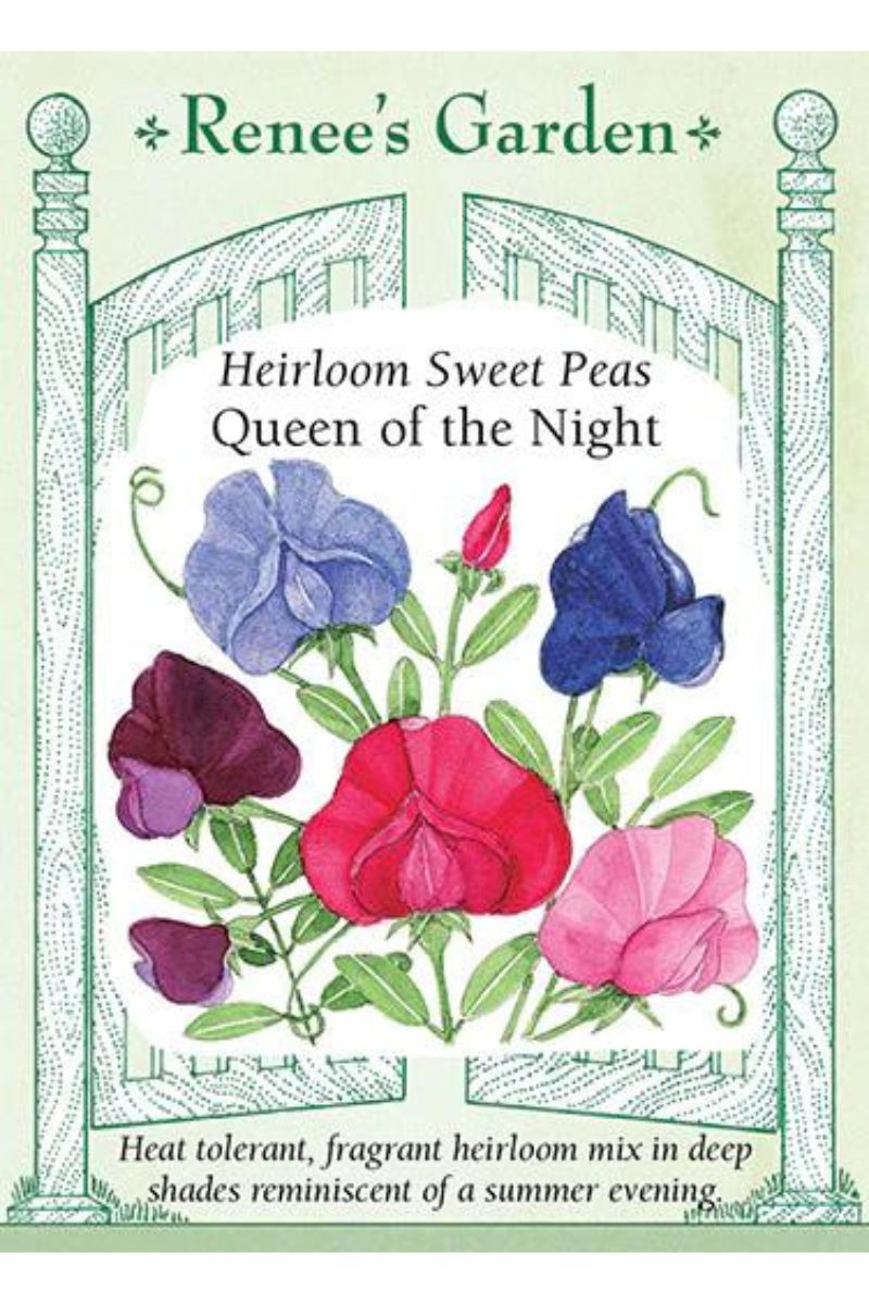 Renee's Garden Heirloom Sweet Peas Queen of the Night Seeds