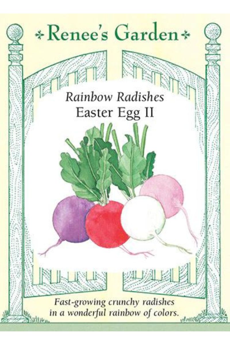 Renee's Garden Rainbow Radishes Easter Egg II Seeds