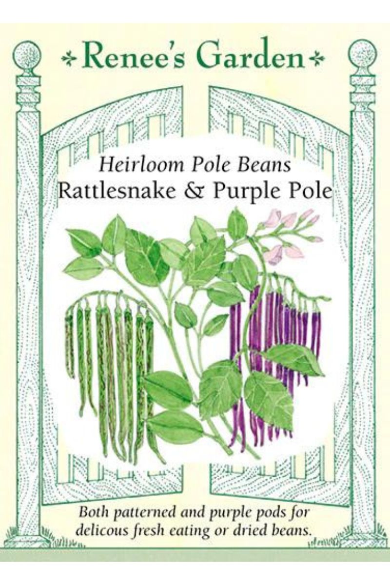 Renee's Garden Heirloom Pole Beans Rattlkesnake & Purple Pole Seeds