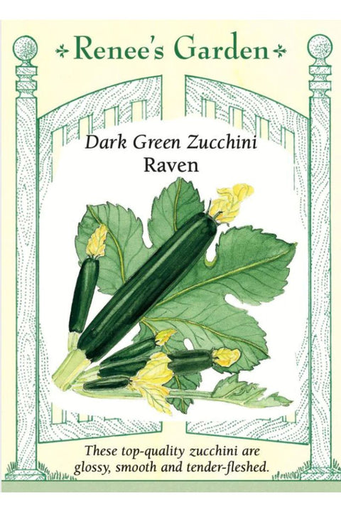 Renee's Garden Dark Green Zucchini Raven Seeds