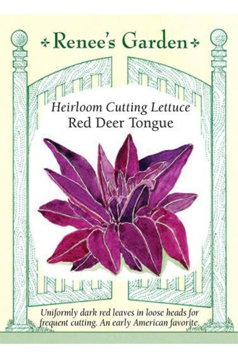 Renee's Garden Heirloom Cutting Lettuce Red Deer Tongue Seeds