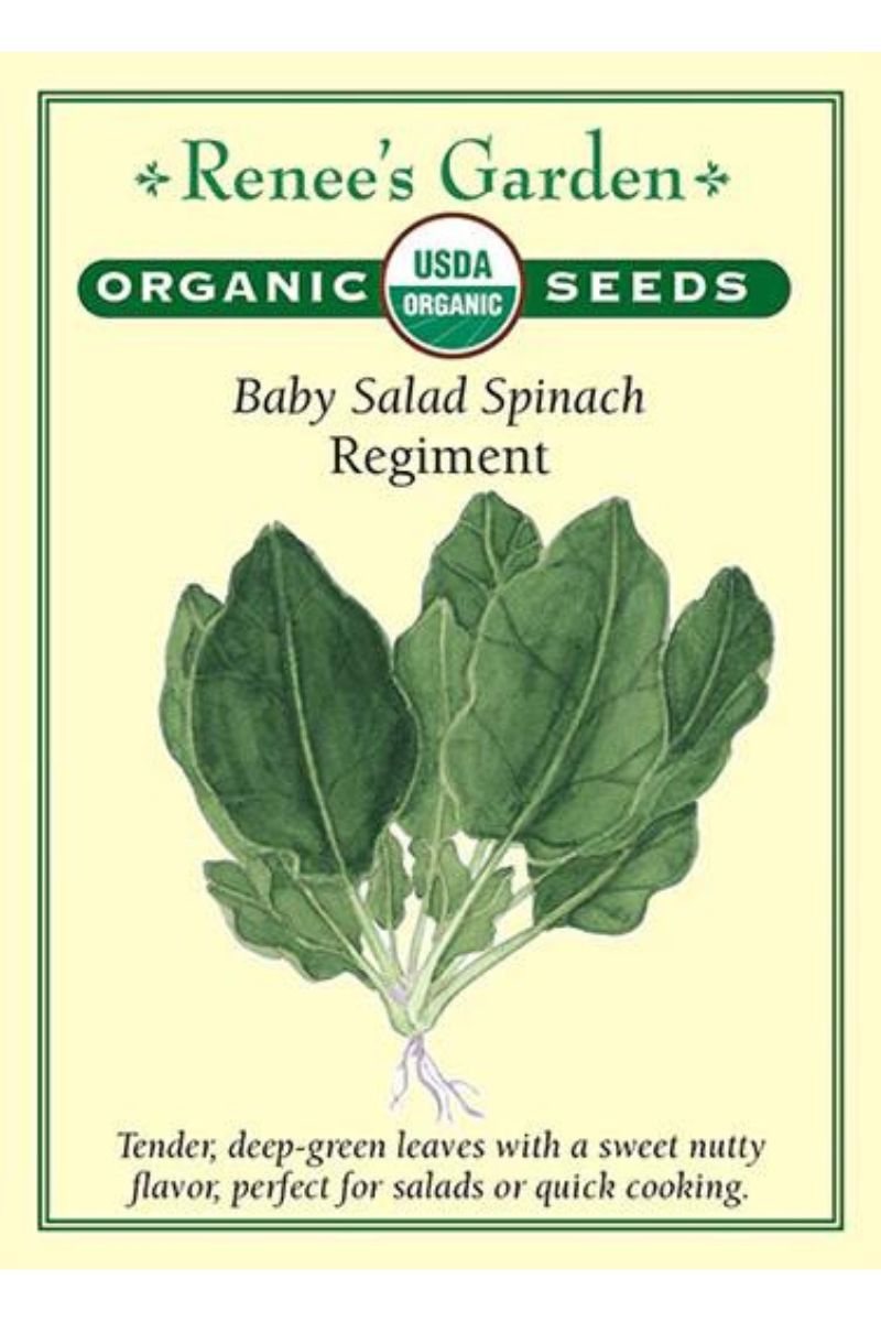 Renee's Garden Baby Salad Spinach Regiment Organic Seeds