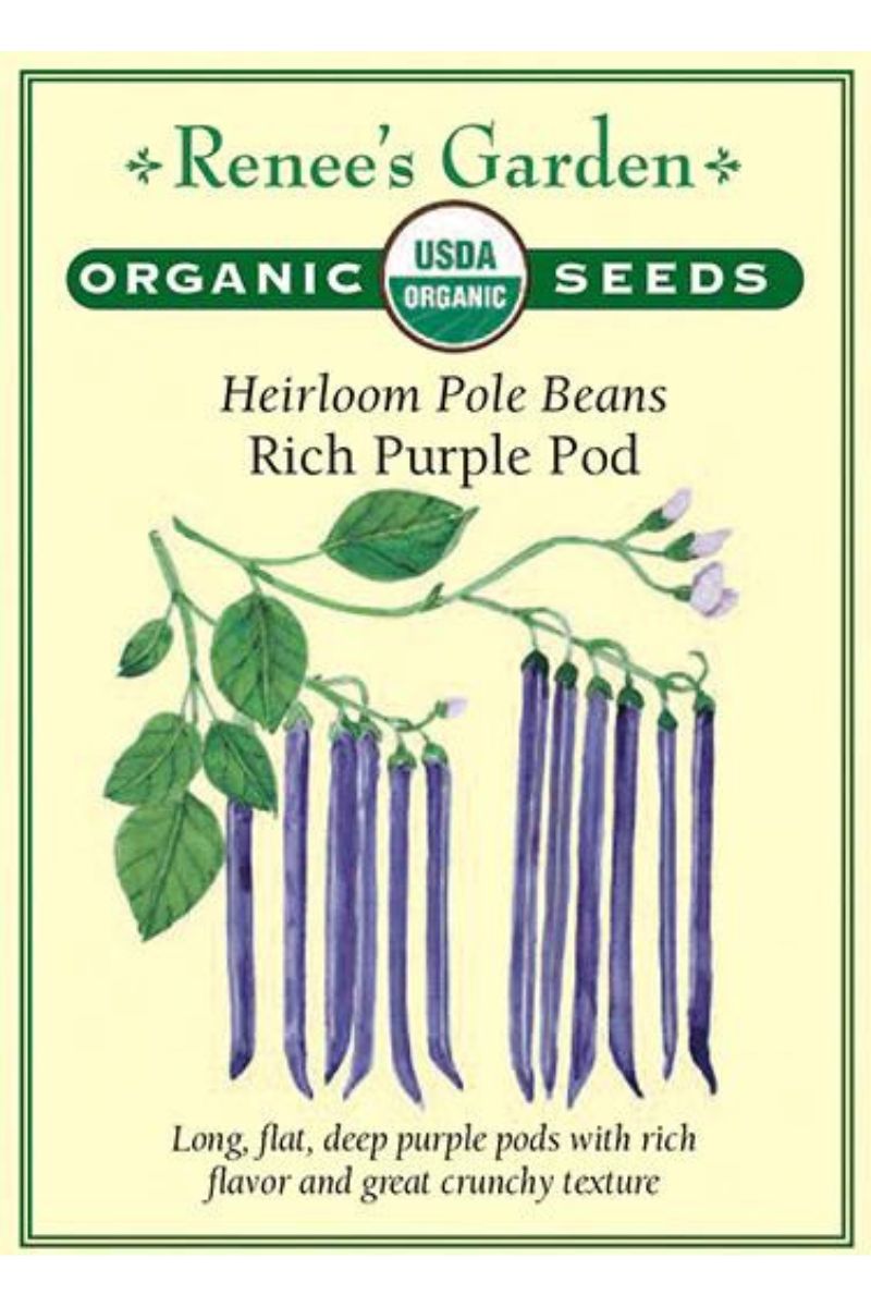 Renee's Garden Heirloom Pole Beans Rich Purple Pod Organic Seeds