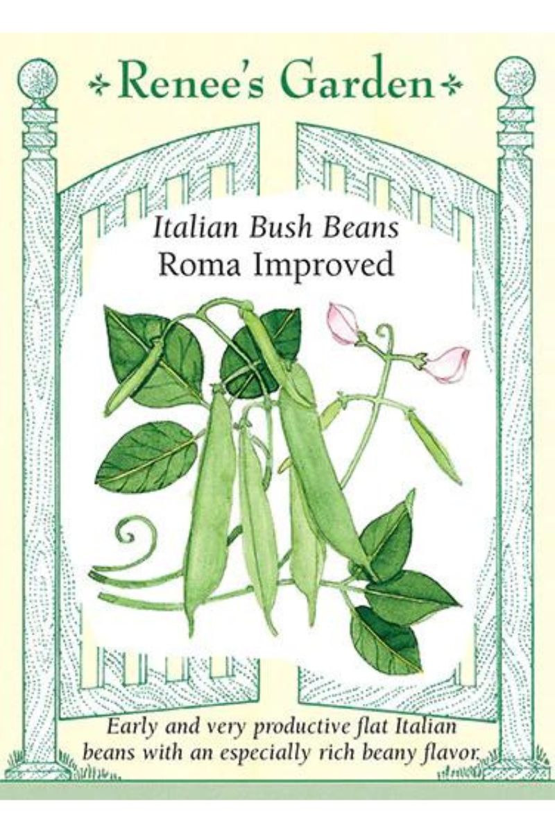 Renee's Garden Italian Bush Beans Roma Improved Seeds