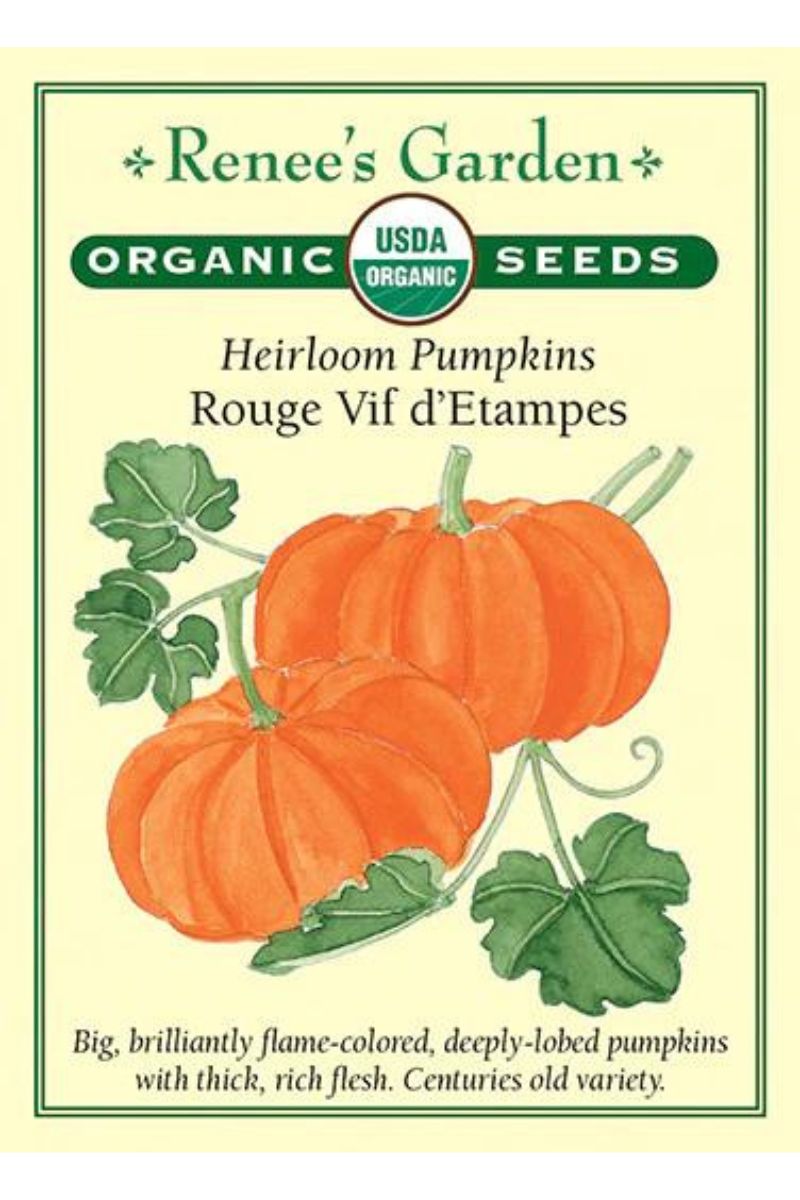 Renee's Garden Heirloom Pumpkins Rough Vif d' Etampas Organic Seeds