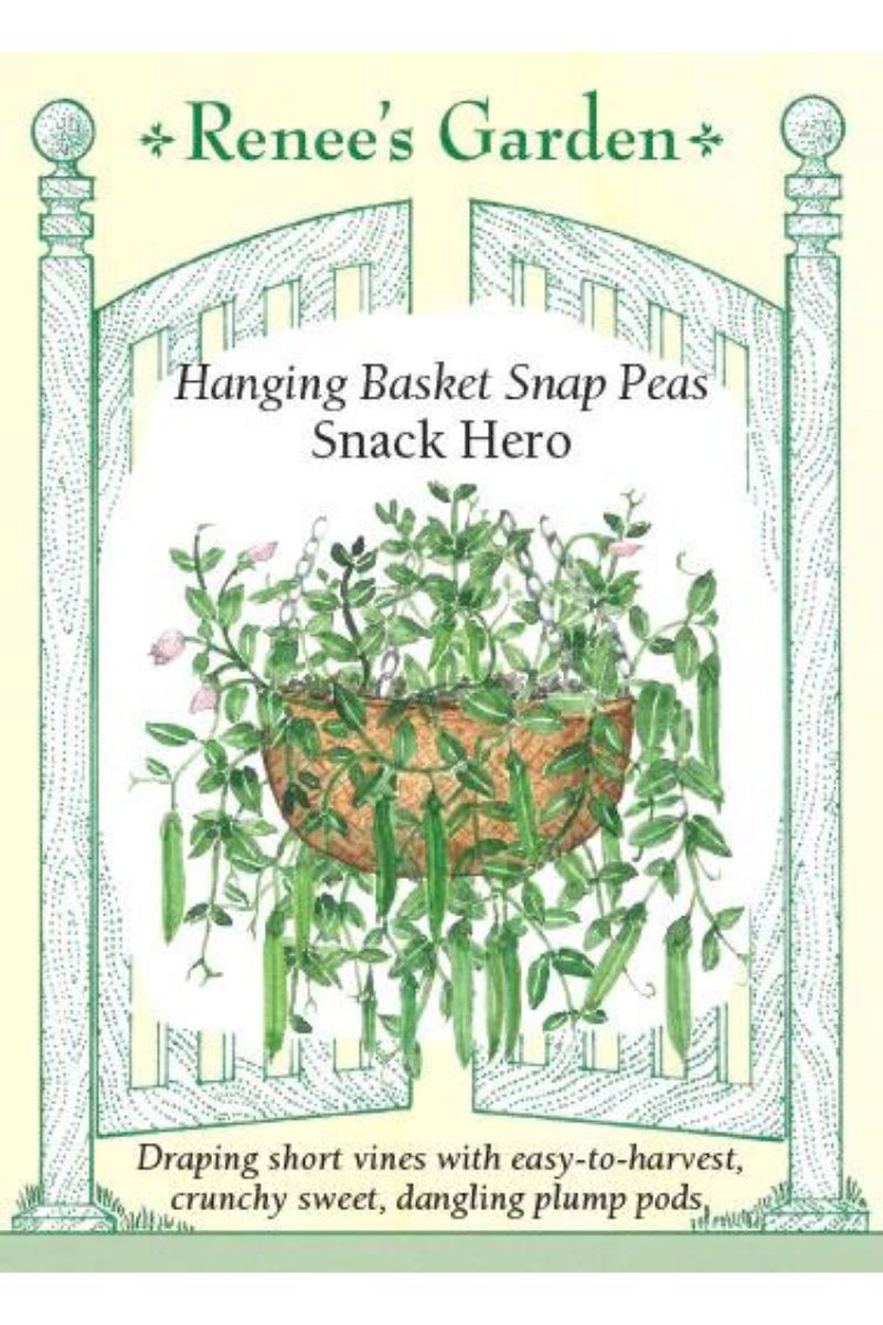 Renee's Garden Hanging Basket Snap Peas Snack Hero Seeds