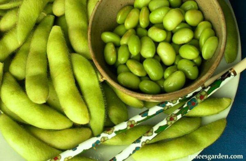 Renee's Garden Fresh Soy Beans Edamame Seeds