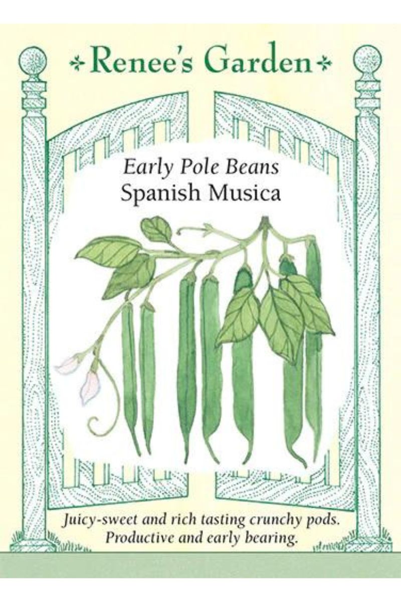 Renee's Garden Early Pole Beans Spanish Musica Seeds