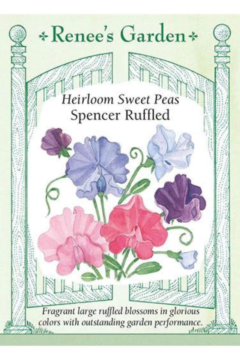 Renee's Garden Heirloom Sweet Peas Spencer Ruffled Seeds