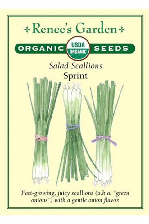 Renee's Garden Salad Scallions Sprint Organic Seeds