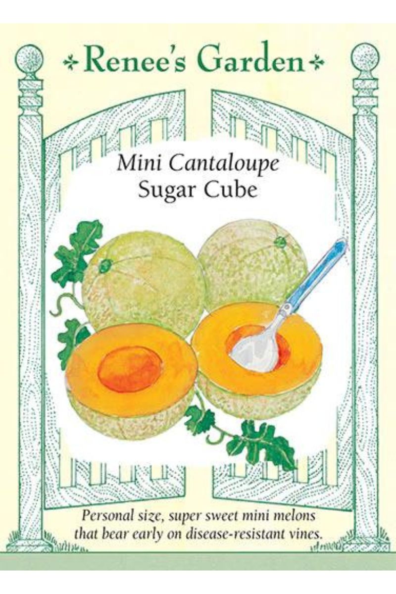 Renee's Garden Mini Cantaloupe Sugar Cube Seeds