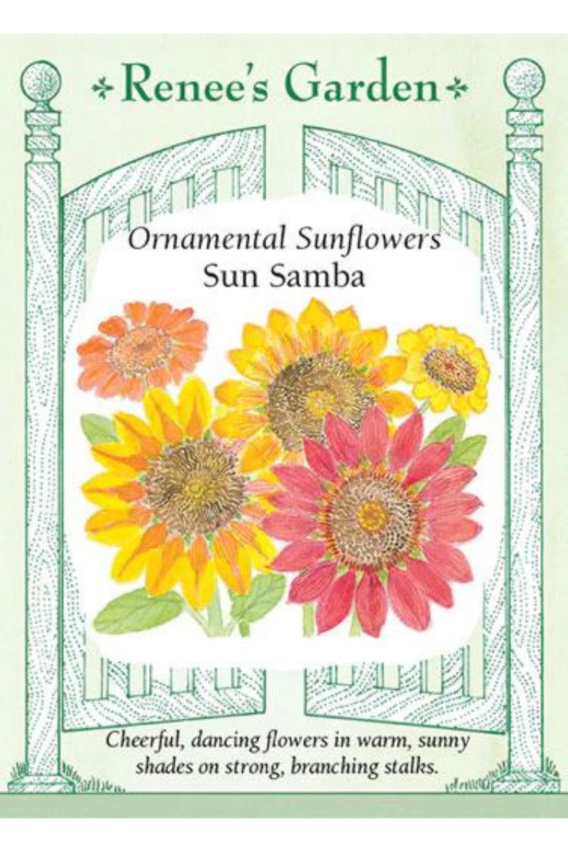 Renee's Garden Ornamental Sunflowers Sun Samba Seeds
