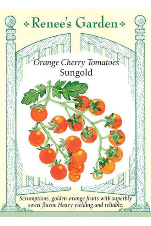 Renee's Garden Orange Cherry Tomatoes Sungold Seeds