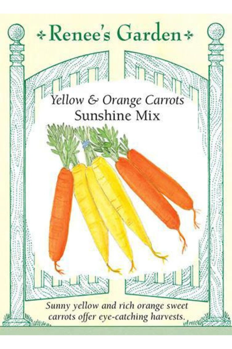 Renee's Garden Yellow & Orange Carrots Sunshine Mix Seeds