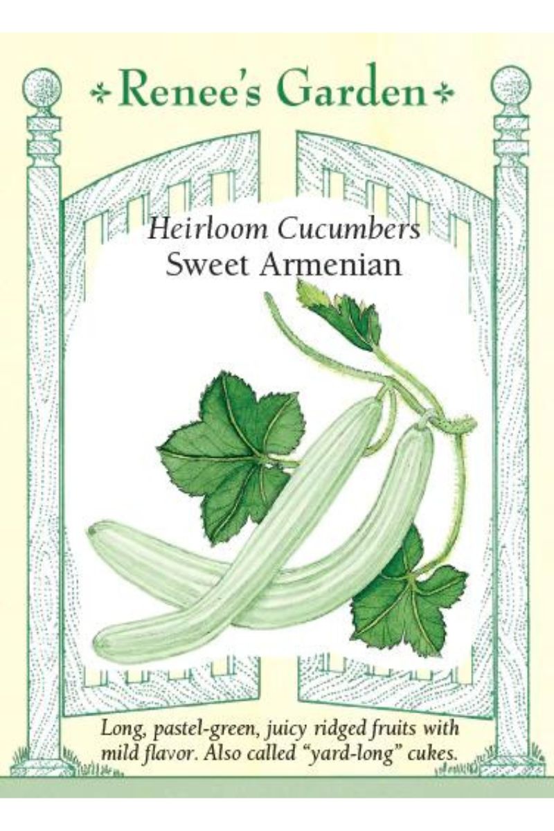 Renee's Garden Heirloom Cucumbers Sweet Armenian Seeds