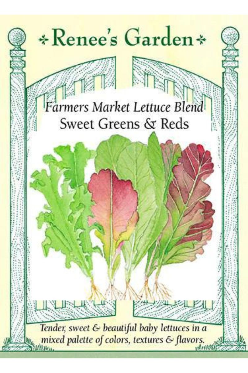 Renee's Garden Farmers Market Lettuce Blend Sweet Greens & Reds Seeds