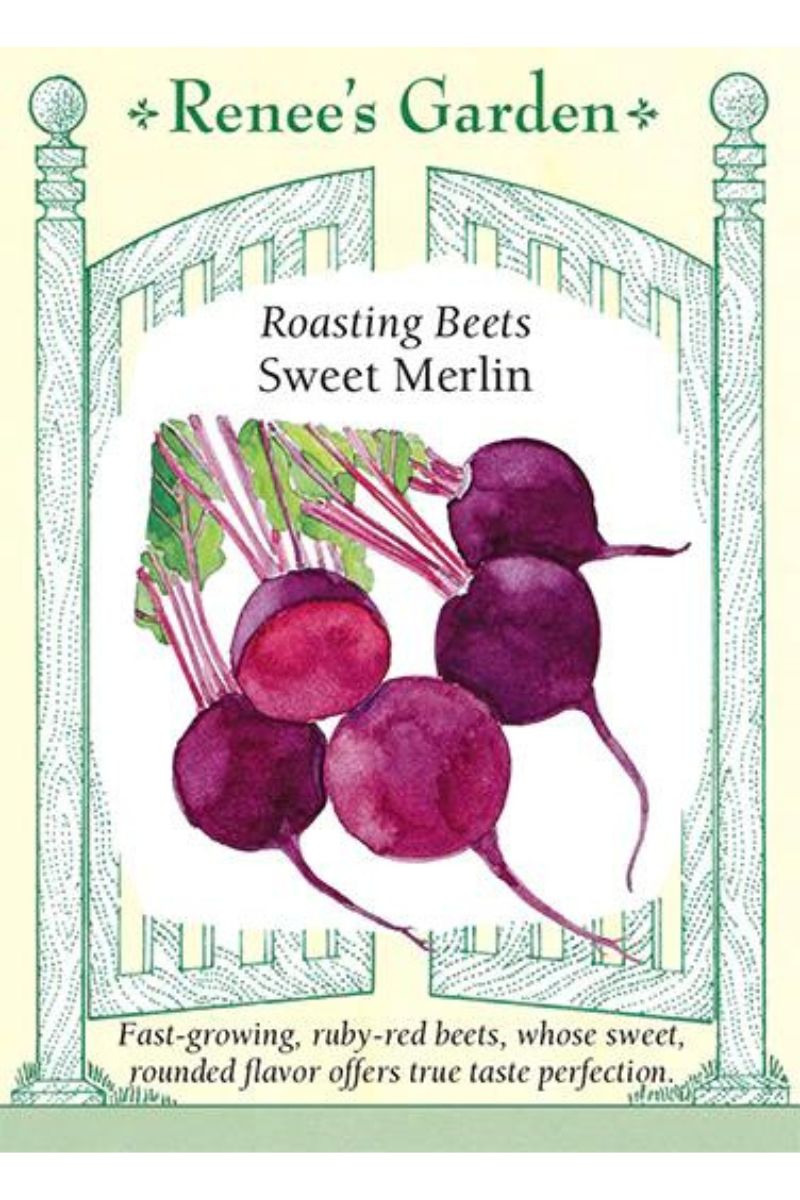 Renee's Garden Roasting Beets Sweet Merlin Seeds