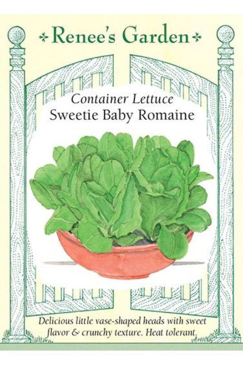 Renee's Garden Container Lettuce Sweetie Baby Romaine Seeds