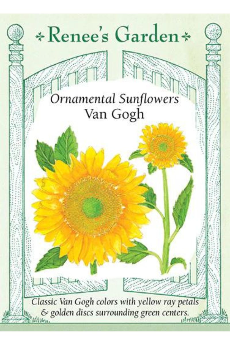 Renee's Garden Ornamental Sunflowers Van Gogh Seeds