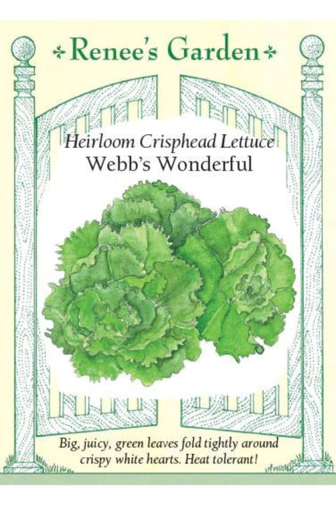 Renee's Garden Heirloom Crisphead Lettuce Webb's Wonderful Seeds