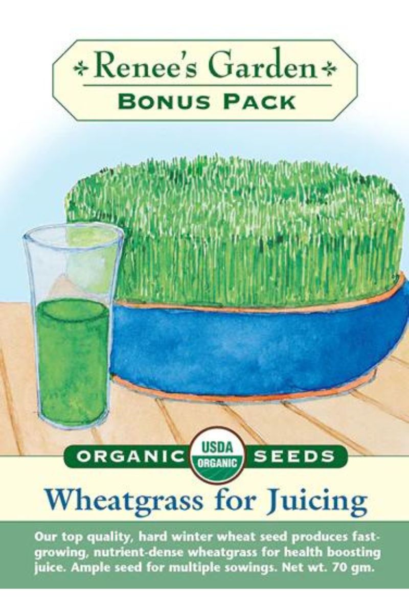 Renee's Garden Wheatgrass for Juicing Organic Seeds