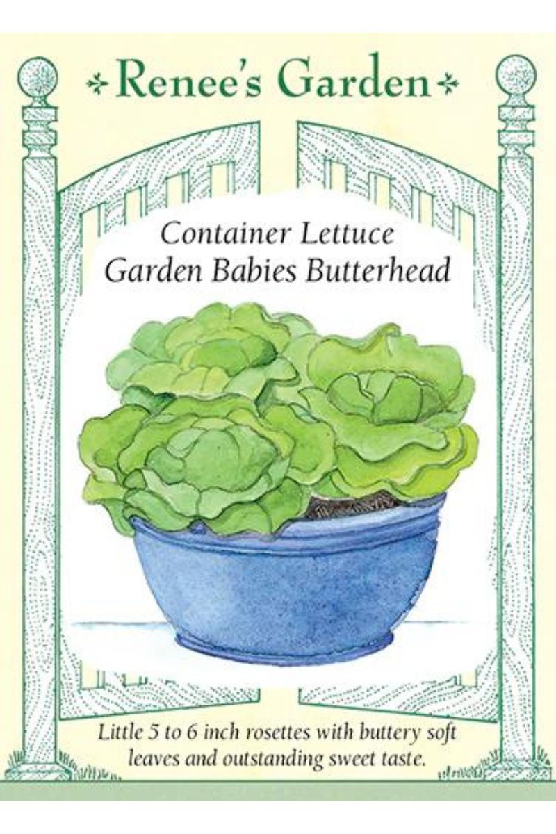 Renee's Garden Container Lettuce Garden Babies Butterhead Seeds