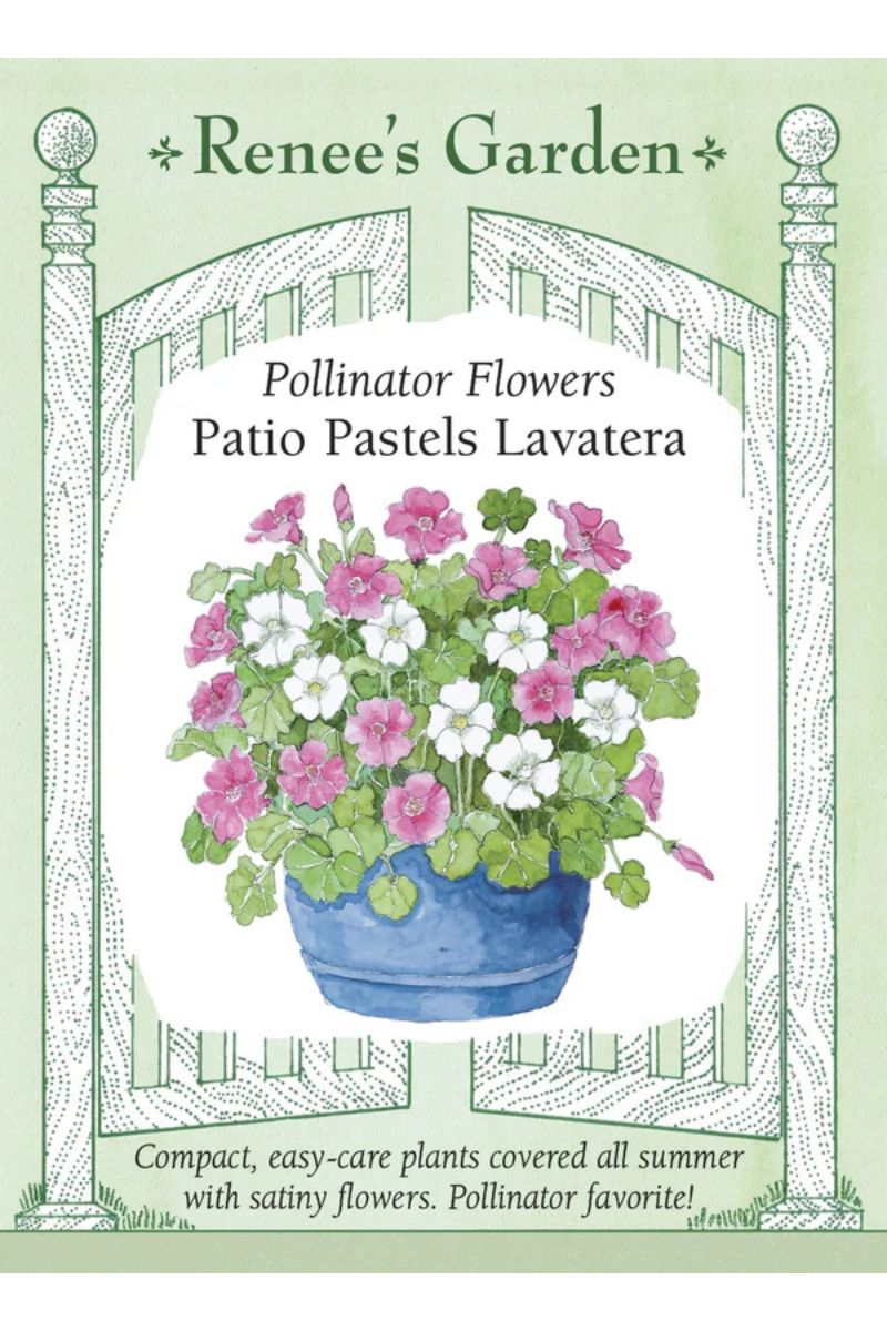 Renee's Garden Pollinator Flowers 'Patio Pastels Lavatera' Seeds