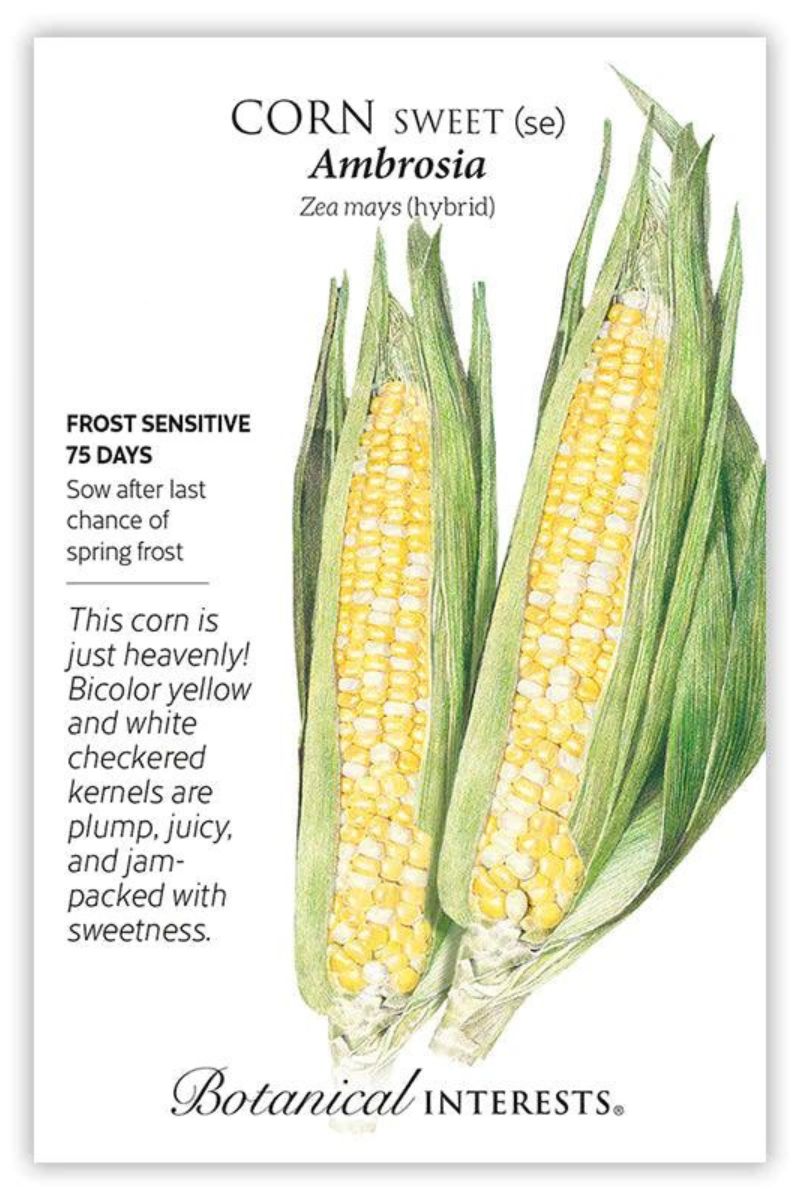 Botanical Interests Ambrosia Sweet Corn Seeds