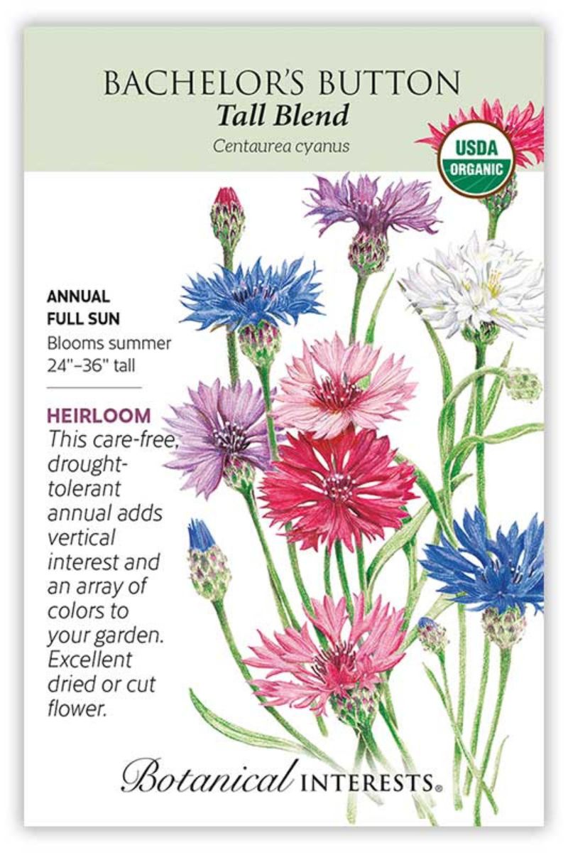 Botanical Interests Tall Blend Bachelor's Button Organic Seeds