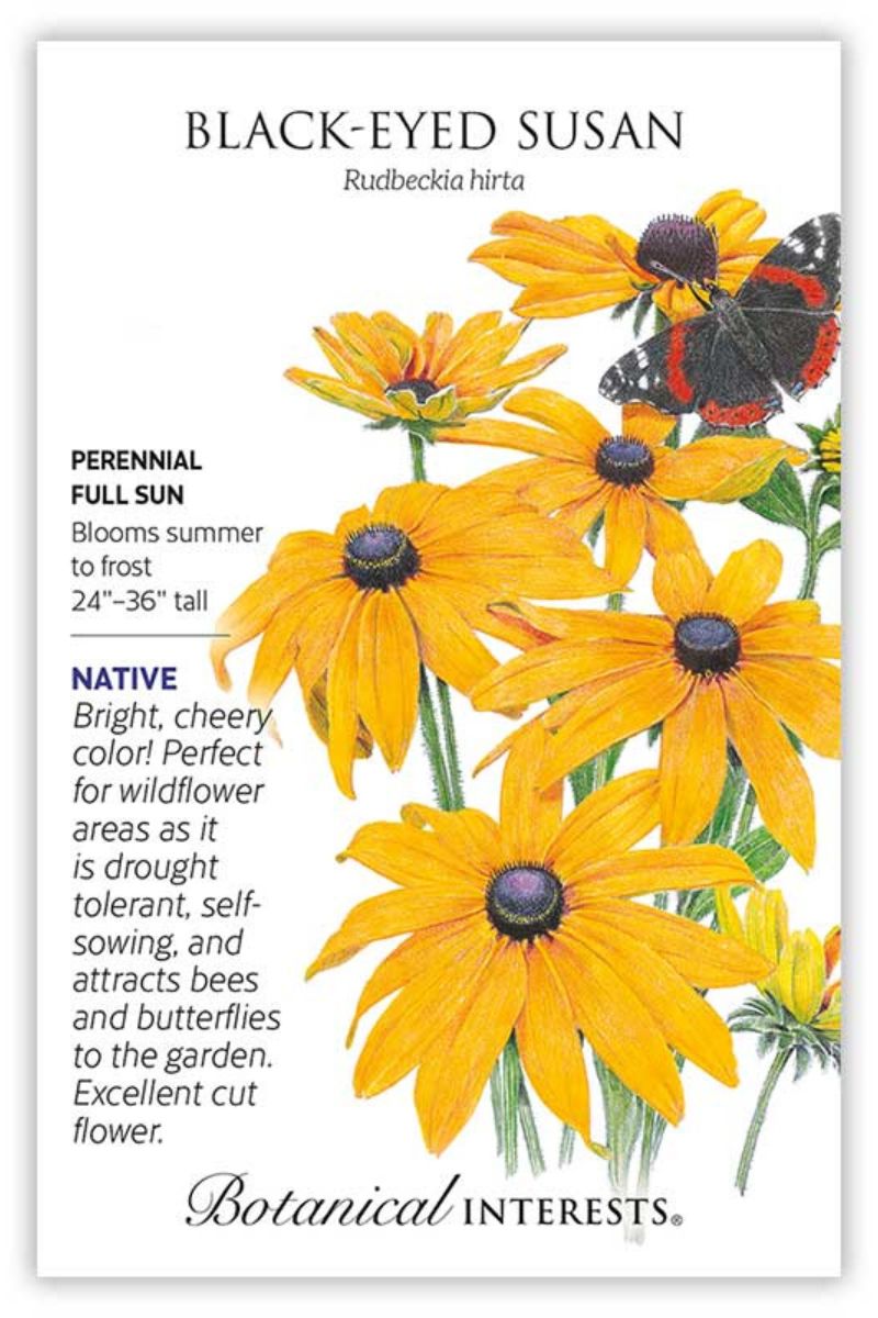 Botanical Interests Black-Eyed Susan Seeds