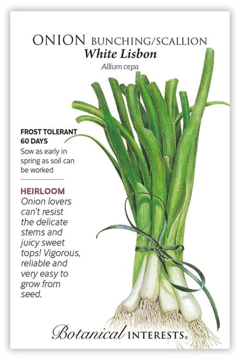 Botanical Interests White Libson Bunching/Scallion Onion  Seeds