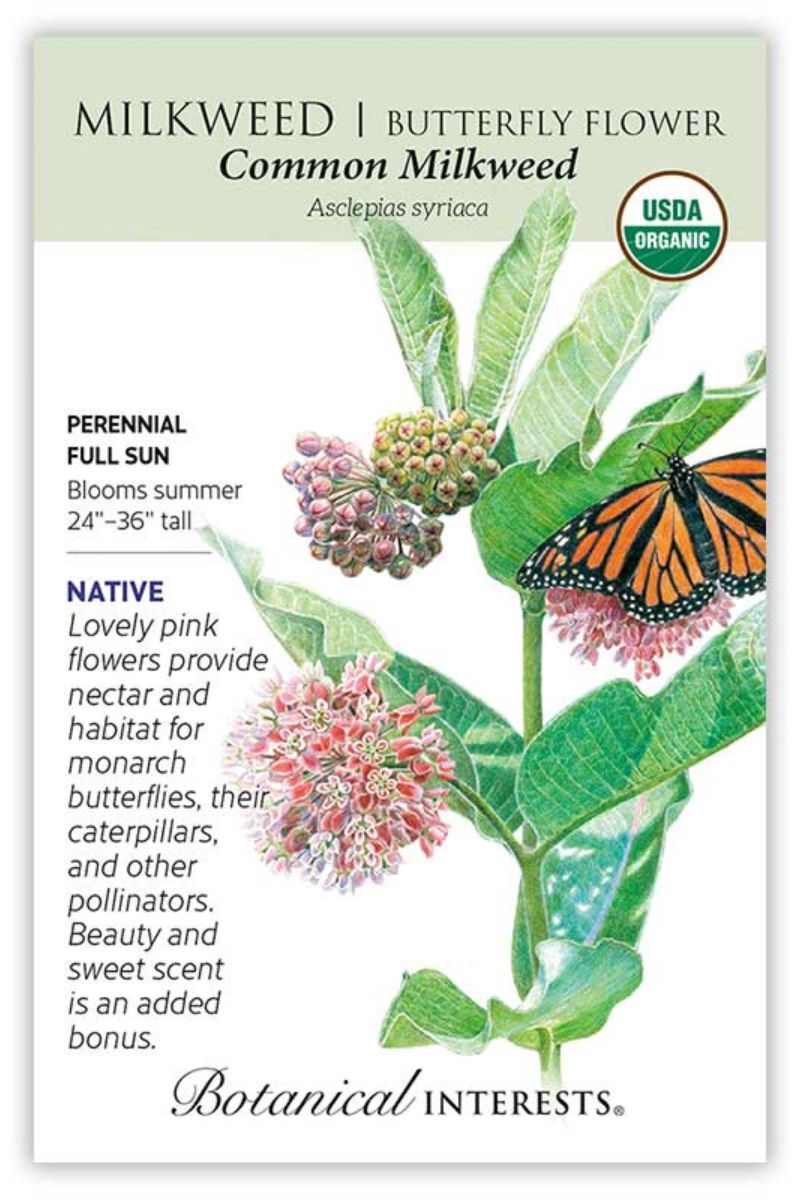 Botanical Interests Common Milkweed/Butterfly Flower Organic Seeds