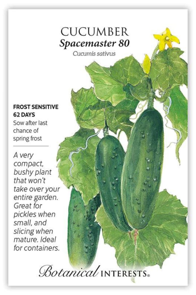 Botanical Interests Spacemasters 80 Cucumber Seeds