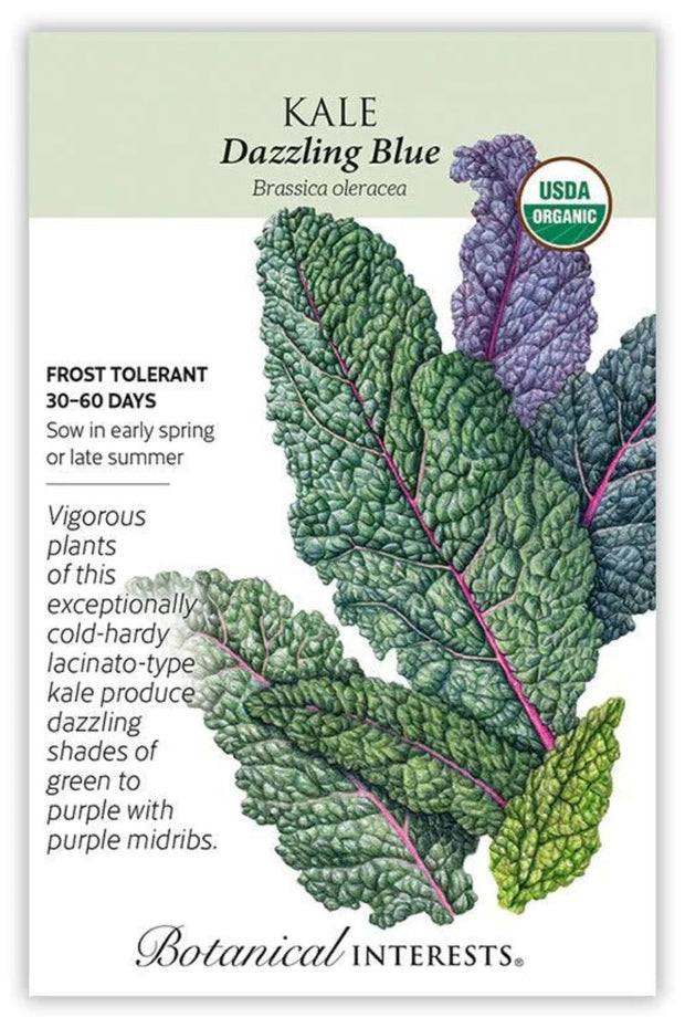 SEED KALE DAZZLING BLUE ORG