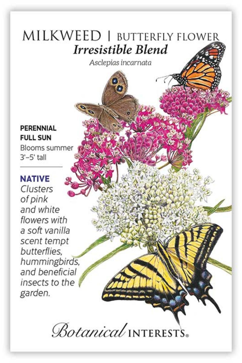 Botanical Interests Irresistible Blend Milkweed/Butterfly Flower Seeds