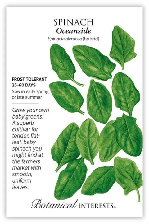 Botanical Interests Oceanside Spinach Seeds